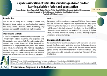 Rapid classification of fetal ultrasound images based on deep learning, decision fusion and quantization