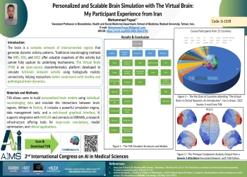Personalized and Scalable Brain Simulation with The Virtual Brain:  My Participant Experience from Iran
