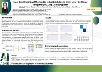 Image-Based Prediction of Microsatellite Instability in Colorectal Cancer Using H&E-Stained Histopathology: A Dual-Path Deep Learning Approach