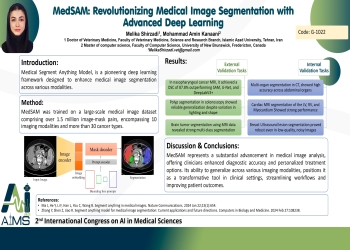 MedSAM: Revolutionizing Medical Image Segmentation with Advanced Deep Learning