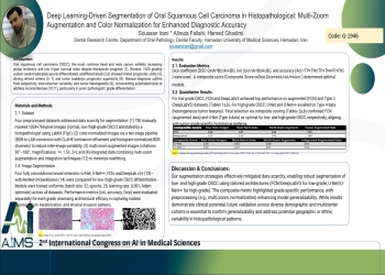 Deep Learning-Driven Segmentation and Grading of Oral Squamous Cell Carcinoma: A Comparative Analysis of Architecture-Specific Performance Across Multi-Zoom Augmented Histopathological Datasets